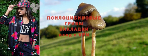СК Новокубанск